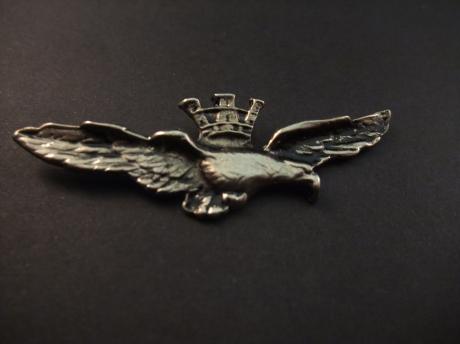 Royal Air Force Engeland logo adelaar zilverkleurig